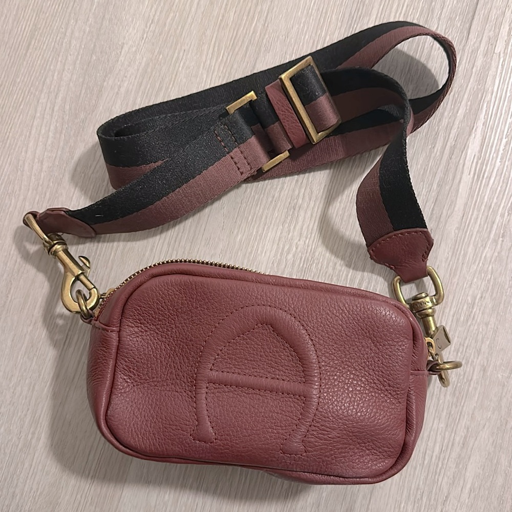 Etienne Aigner Stella Mini Camera Crossbody